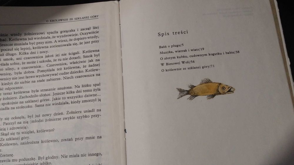 Kilka czarodziejskich historii Zbigniew Brzozowski