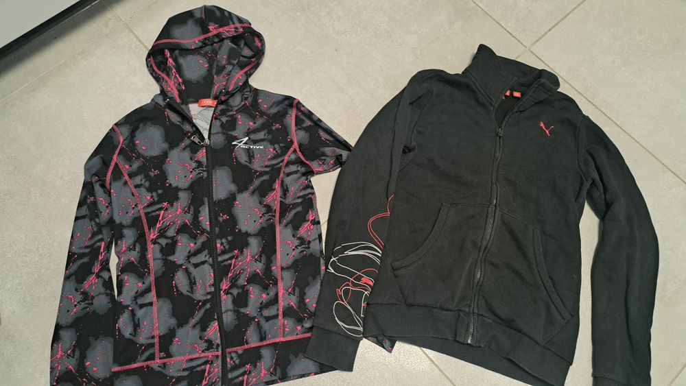 Zestaw bluza 152 dla dziewczynki puma