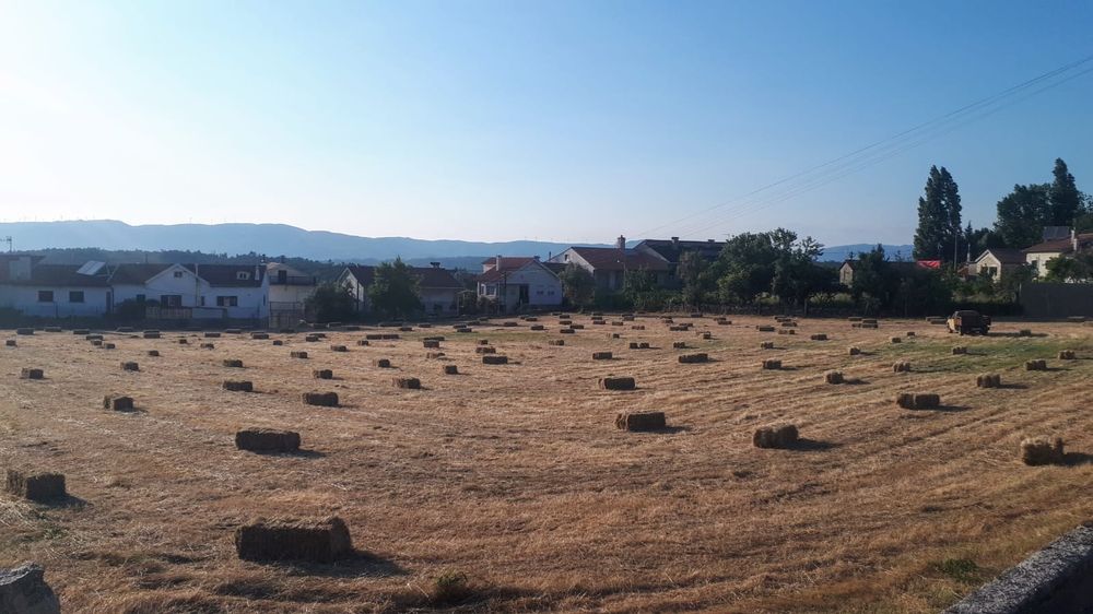 Fardos de palha/feno
