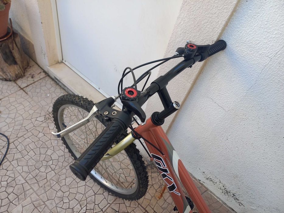 Bicicleta Adulto