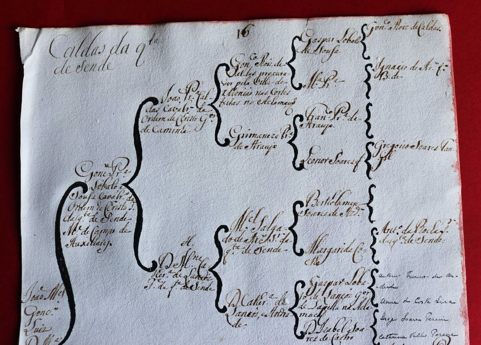 Os Caldas da Quinta de Sende, Monção árvore costados 1746
