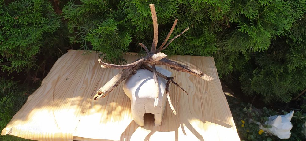 Grota z korzeniem do akwarium