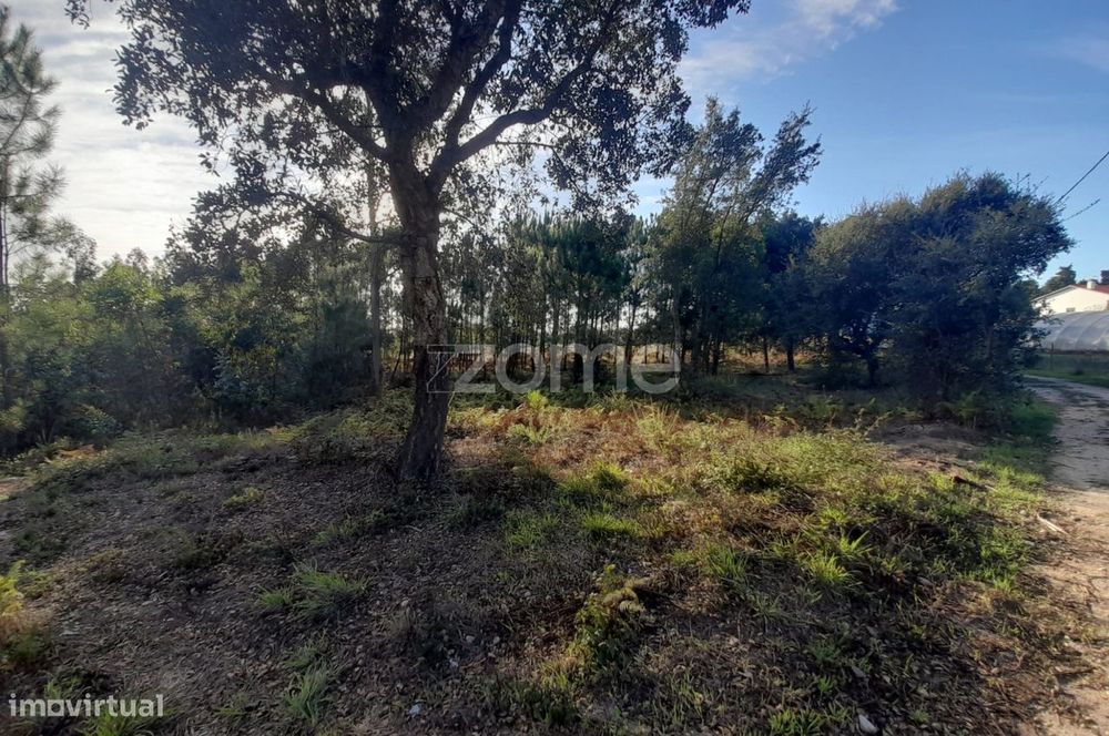 Terreno Rustico