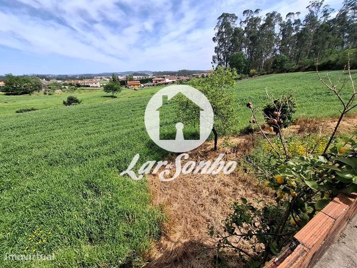 Moradia individual com terreno de 2.753m2 em Balazar, Póvoa de Varzim