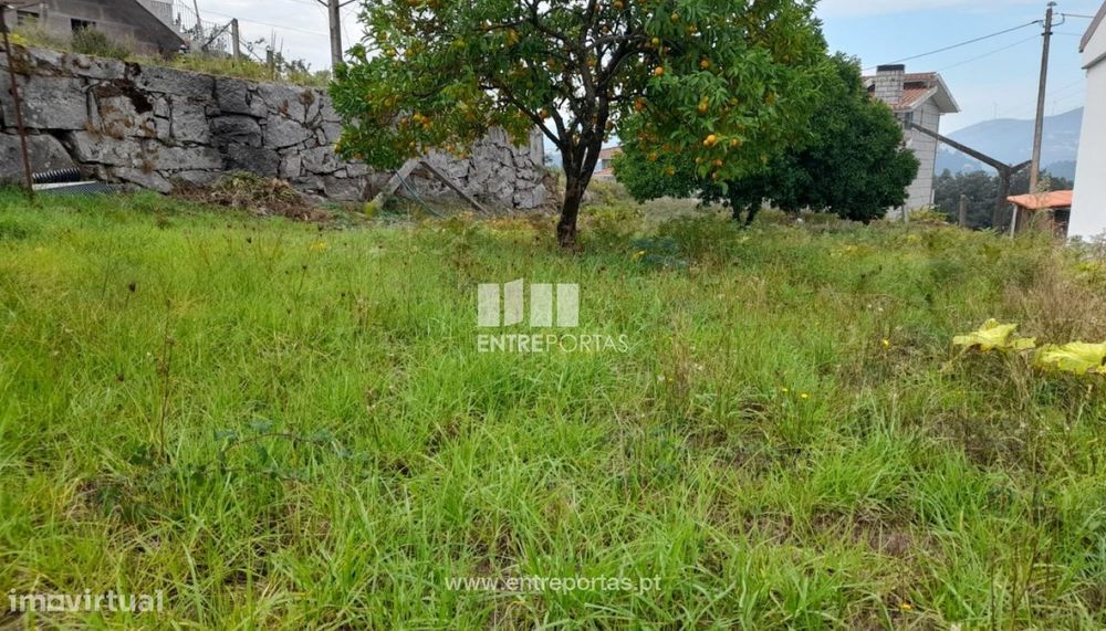 Venda Terreno, Várzea do Douro, Marco de Canaveses