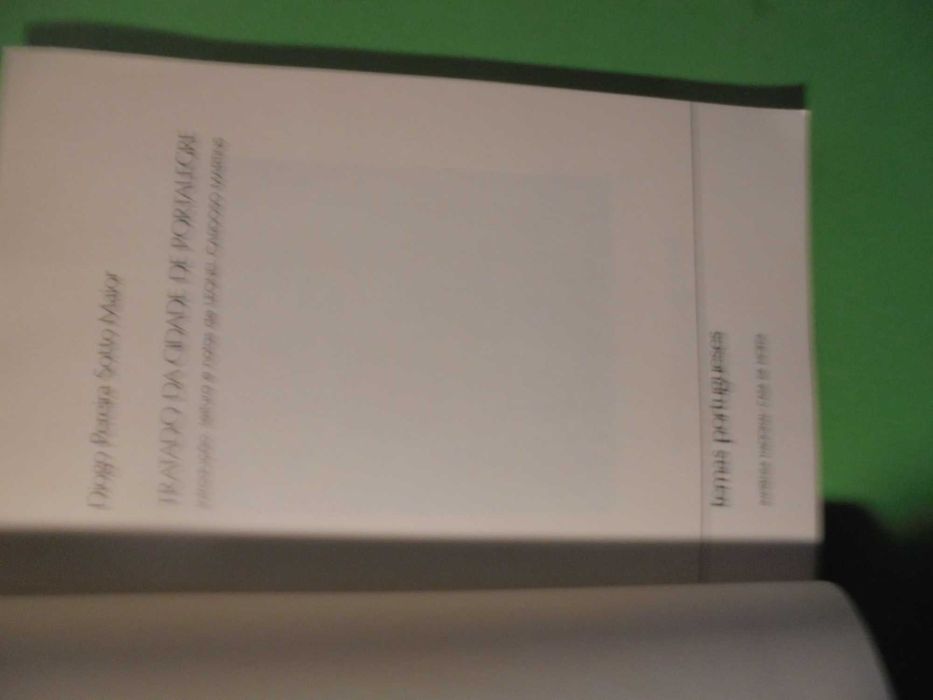 Maior (Diogo Pereira Sotto);Tratado da Cidade de Portalegre