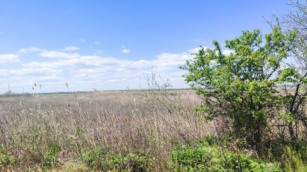 Продам фасадну ділянку біля моря 10 соток ділима