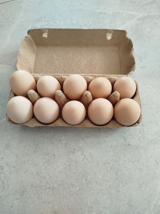 Jajka wiejskie swieze