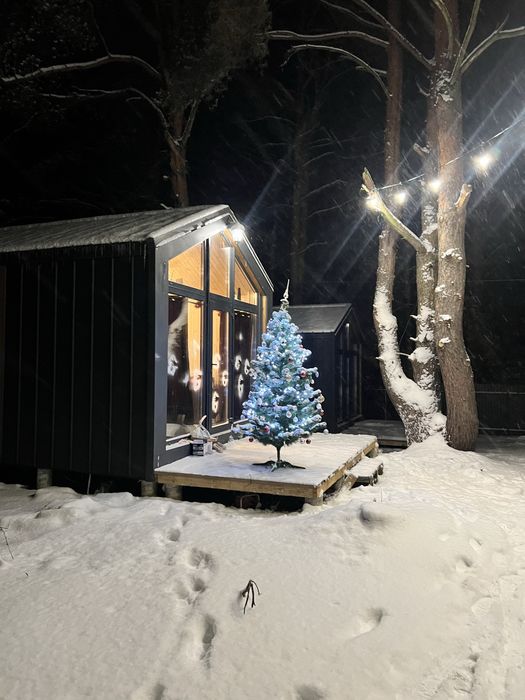 Здам будиночок в лісі біля Киівського моря