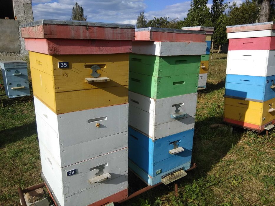 Продам вулики 10 рамок дадан