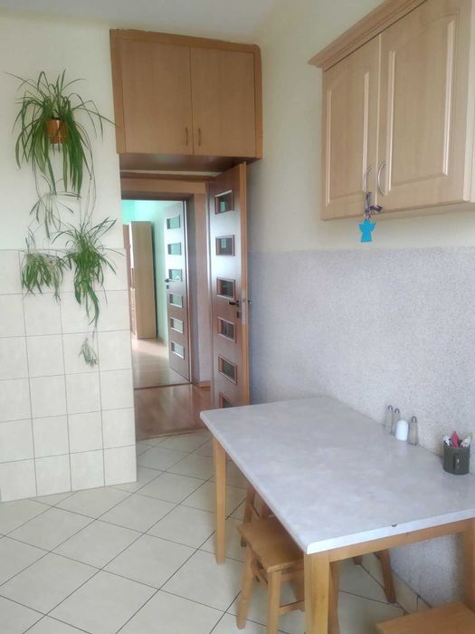 Od zaraz mieszkanie 2pok. 50m. śródmieście