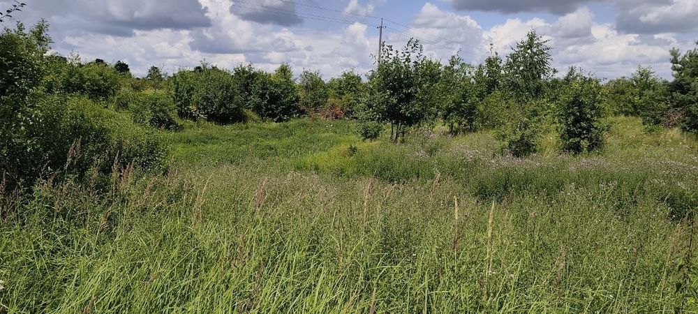 Земельна ділянка 1.4 га біля річки  у Негівцях