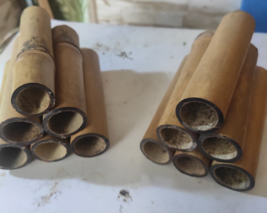 Kryjówki dla krewetek glonojadów