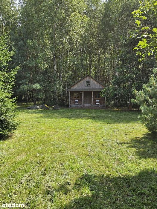 Leśna enklawa spokoju – wyjątkowa nieruchomość z zabudową w sercu lasu