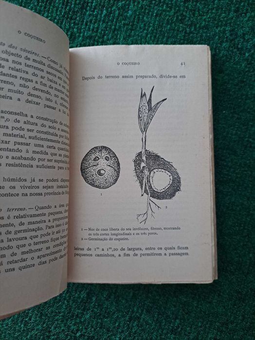 Culturas Tropicais - Plantas Oleaginosas - 2 Vols. - Mário Cortesão