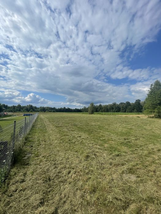 Koszenie, przycinanie  - prace porządkowe