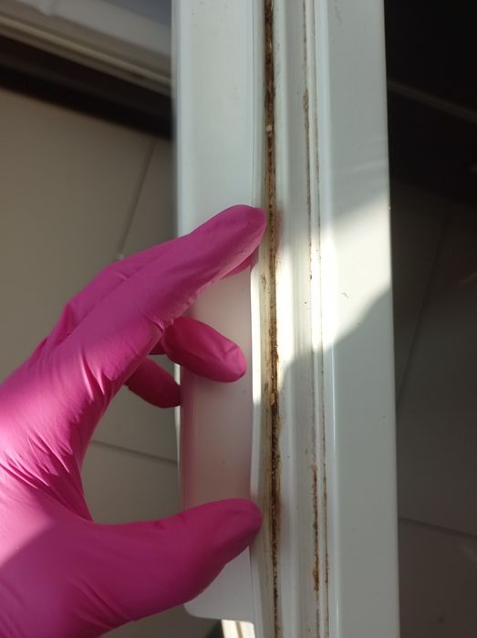 Sprzątanie mieszkań i domów