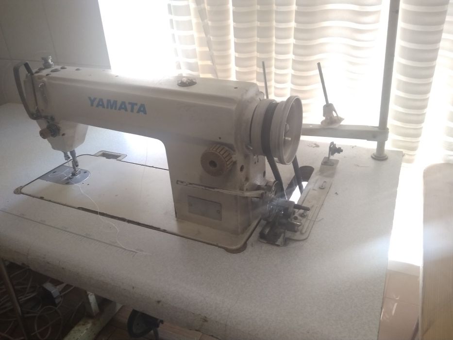 Прямострочка промышленная