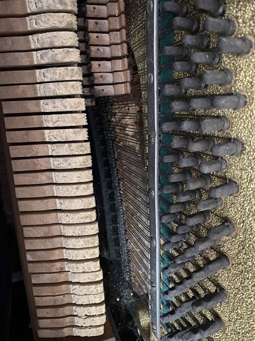 Фортепіано безкоштовно