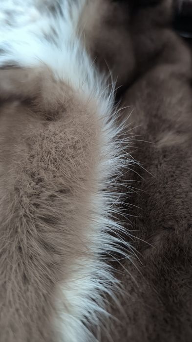 Шуба норкова, комір рись