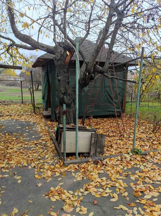 Отличный дом на Долгинцево  по ул.  Сельскогосподарской