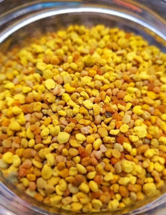 Pylek Kwiatowy Pszczeli wysuszony wymrozony