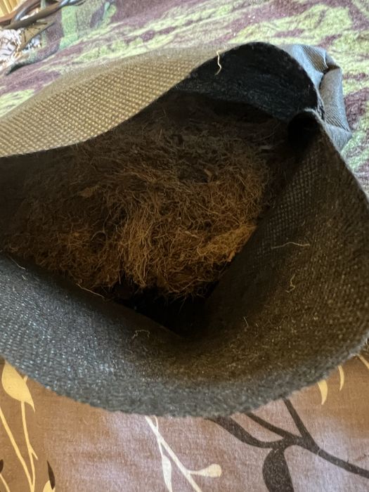 Стільці Венські ! Войцехов ! Кінець ХІХ століття ! Після реставрації !