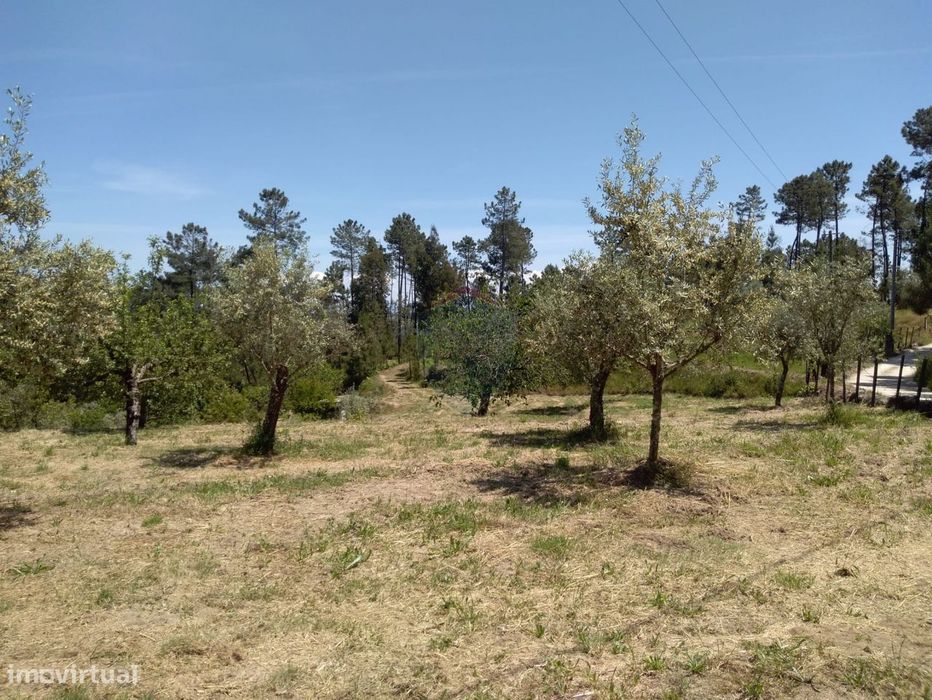 Terreno  Venda em Silgueiros,Viseu — Silgueiros, Viseu