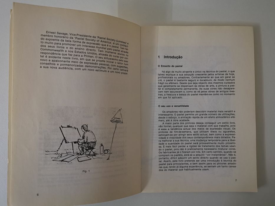 Livro Pintar a Pastel de Ernest Savage