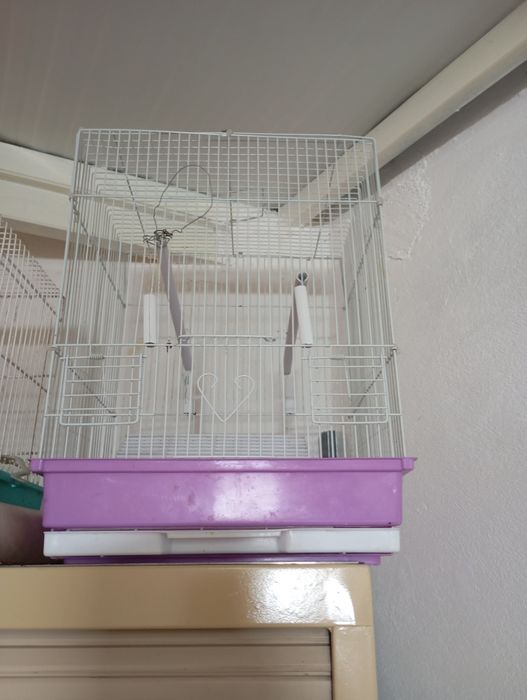 Gaiola grande para pássaros