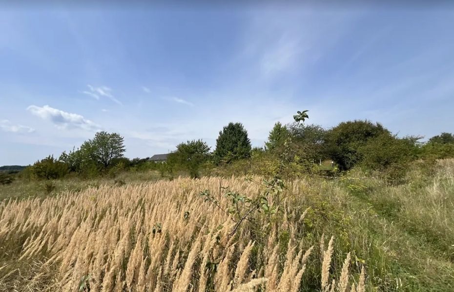 Продажа земельної ділянки сільськогосподарського призначення