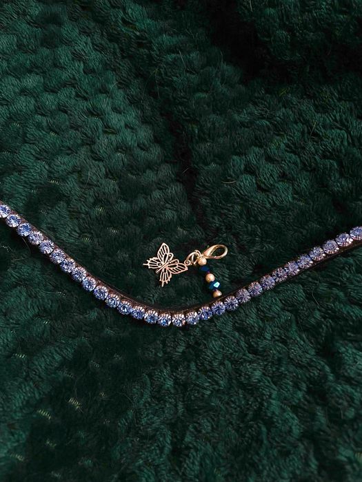 Naczółek Ps of Sweden