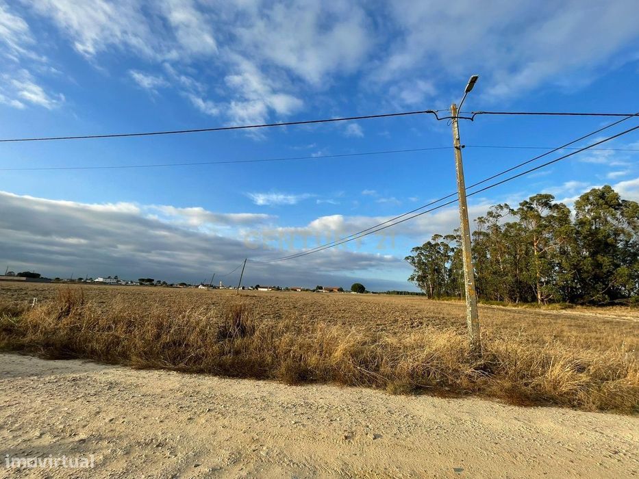 Terreno Rústico com Projeto Aprovado | 5.000 m² | Foros de Salvaterra