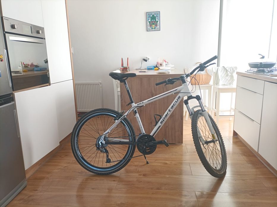 Rower Górski MTB Alivio