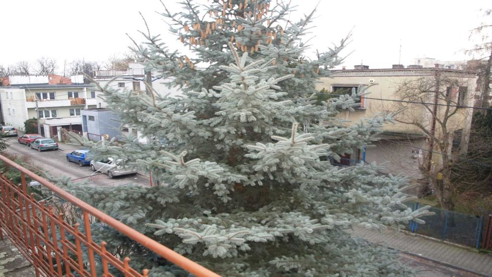 Zdjęcie 8