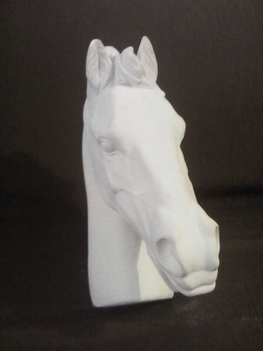 Bustos de cavalo