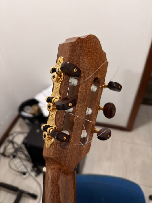 Guitarra Luthier Oitavada - Carl Hellweg OG60