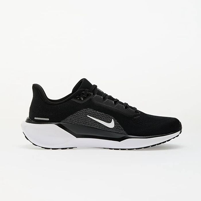 Nike Pegasus 41