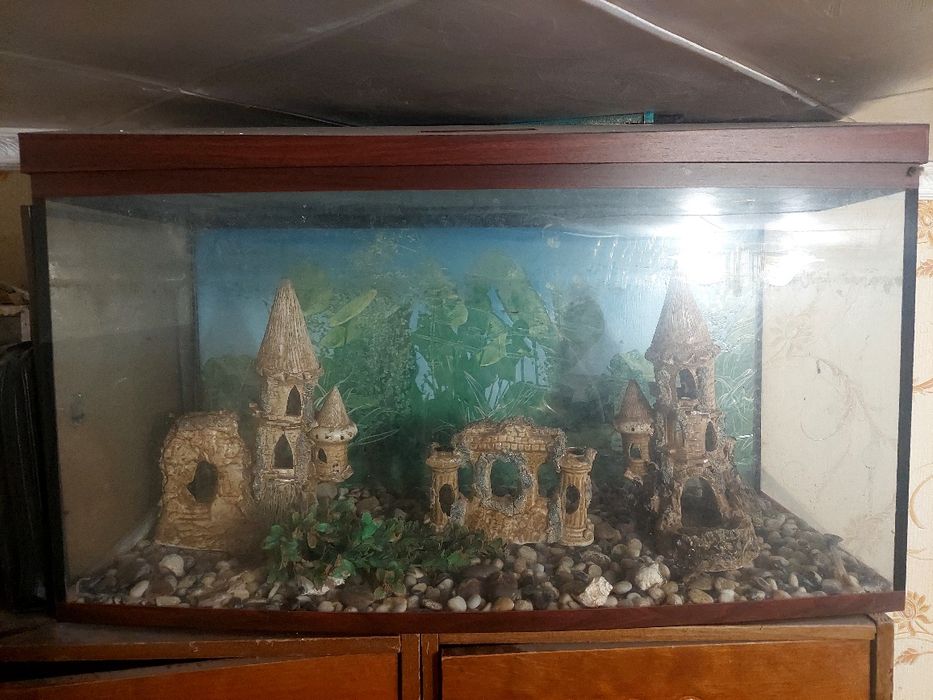 Акваріум аквариум 160 л замки, домики