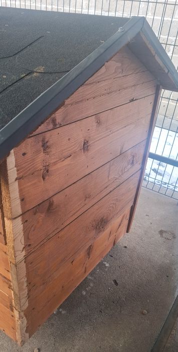 Buda dla psa- stan bardzo dobry