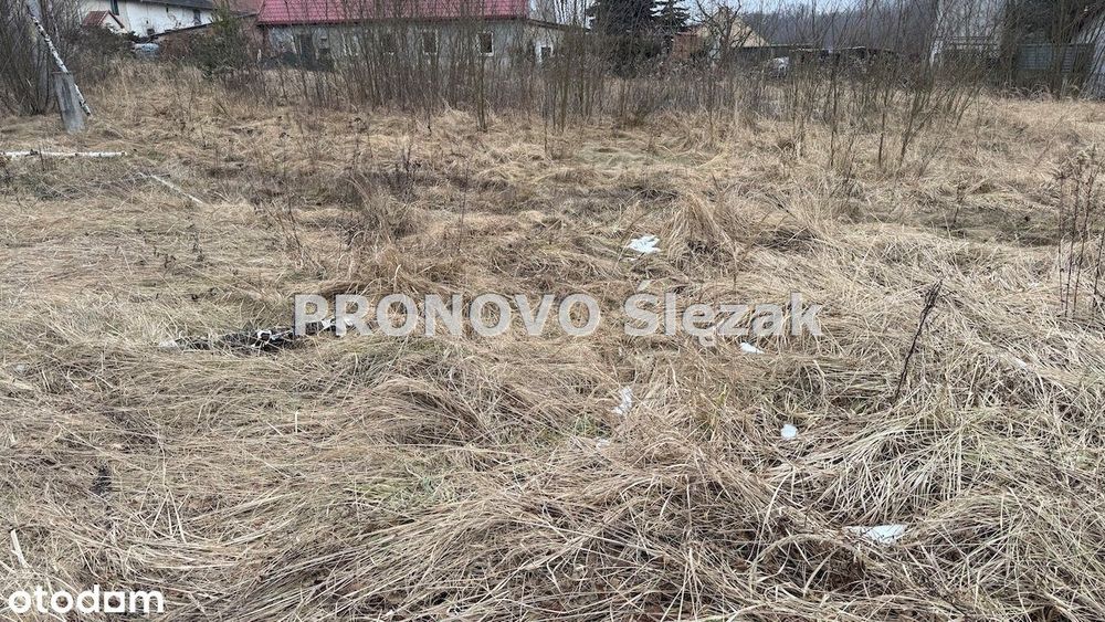 Sprzedam działkę budowlaną Nowosielce k.Obornik Śl - Widok 2
