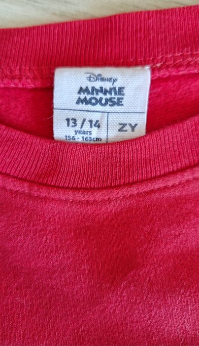 Camisola da Disney (Zippy)