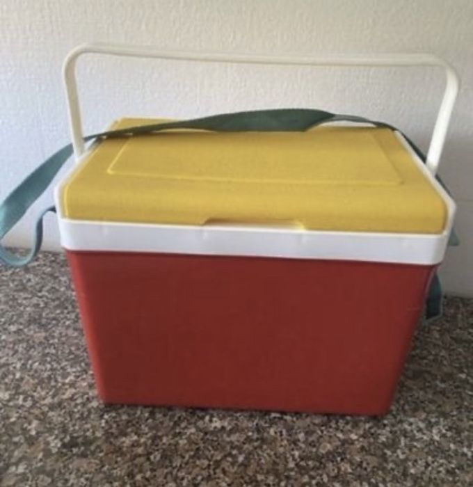 carregador pilhas, arca termica, cds virgens novos