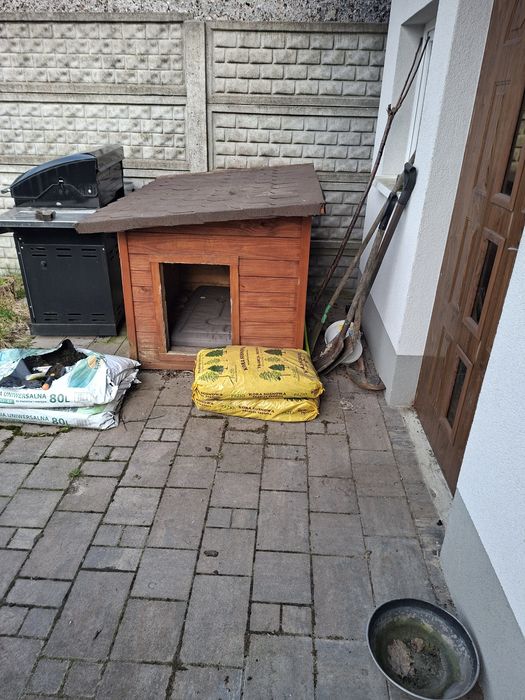 Buda dla dużego psa