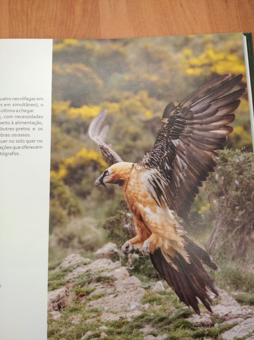 Livro "Aves necrófagas da Península Ibérica" (2016)
