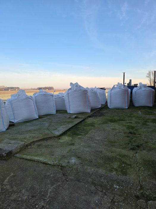 Ziarno kukurydzy gniecione zbiór 2025