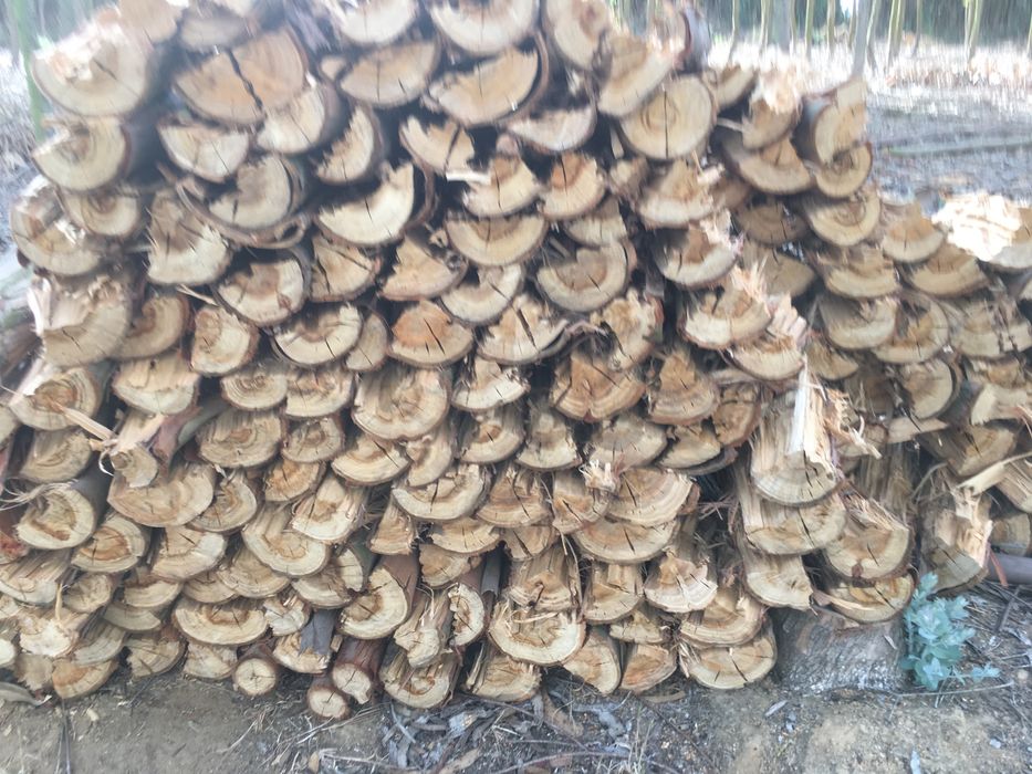 Lenha boa para aquecer sua casa,festas churrascádas !!