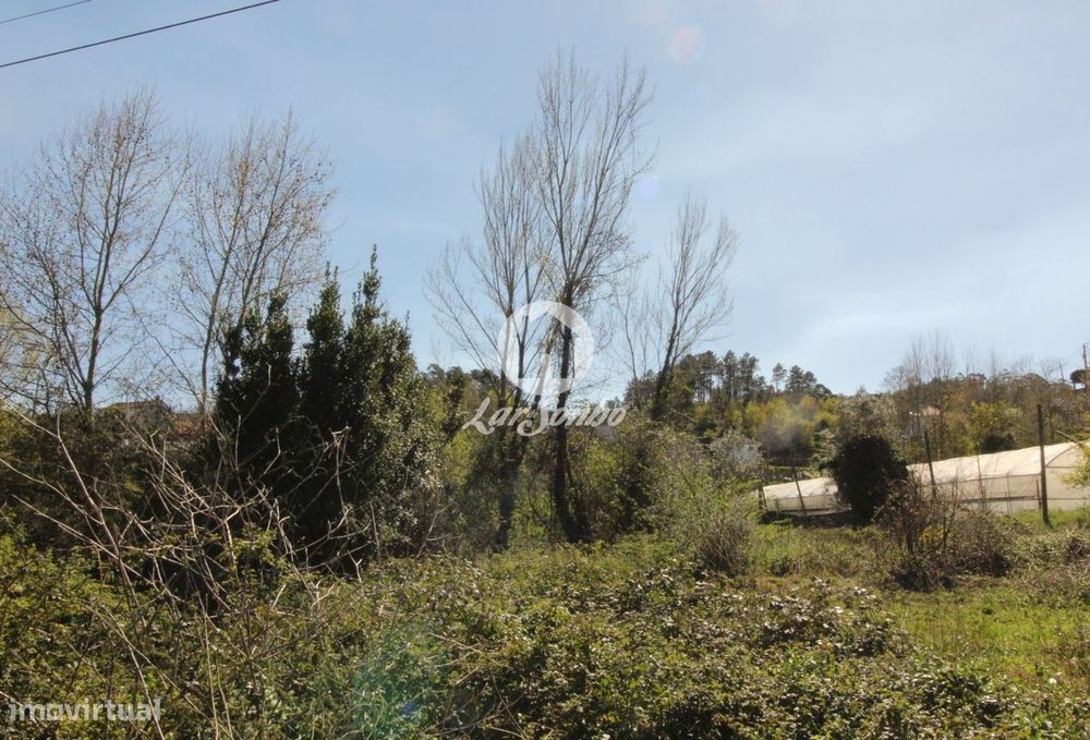 Terreno para loteamento Silvares S. Martinho Fafe