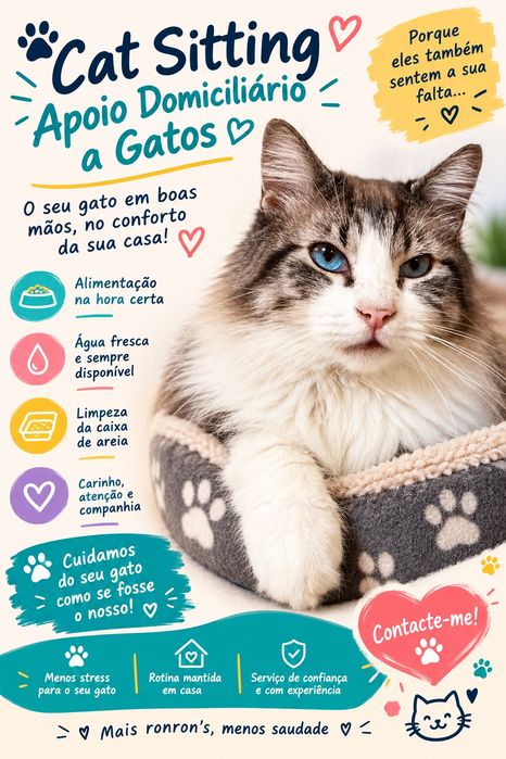 Apoio Domiciliário Gatos / Cat sitting