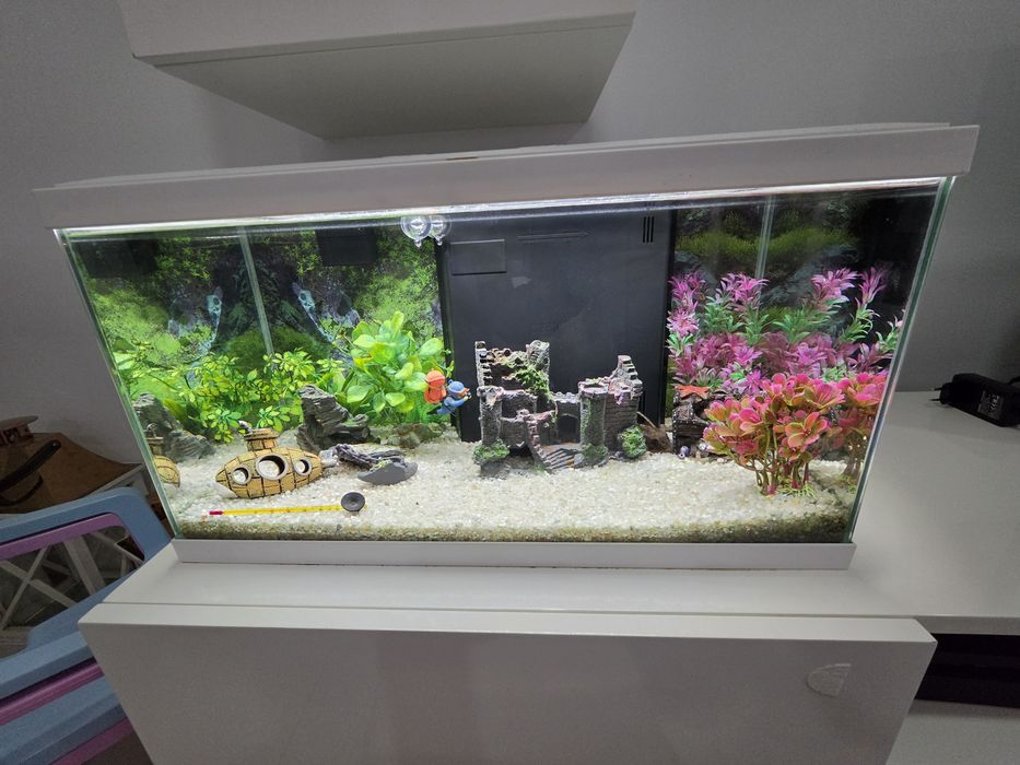 Aquário ciano 60l